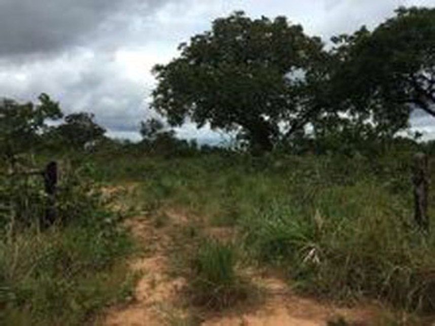 Imagem 1 do Leilão de Área Rural - Zona Rural - Rio Sono/TO