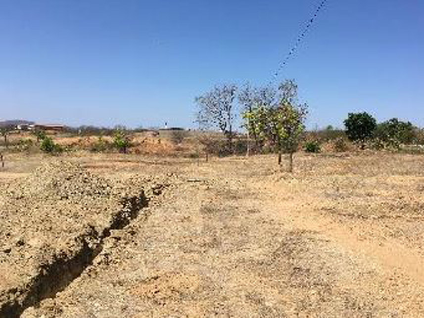 Imagem 2 do Leilão de Área Rural - Sítio Palmeira - Lavras da Mangabeira/CE
