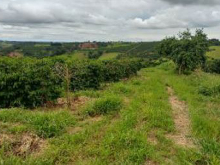Imagem 4 do Leilão de Área Rural - Córrego Grande Ou Cabeceira do Córrego Grande - Elói Mendes/MG