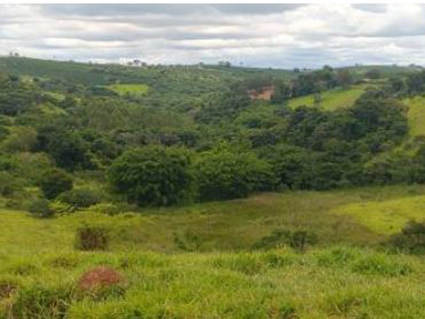 Imagem 8 do Leilão de Área Rural - Córrego Grande Ou Cabeceira do Córrego Grande - Elói Mendes/MG