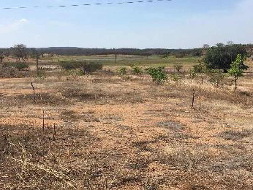Imagem 1 do Leilão de Área Rural - Sítio Palmeira - Lavras da Mangabeira/CE