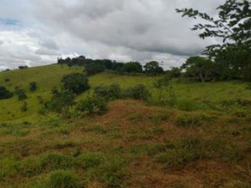 Imagem 7 do Leilão de Área Rural - Córrego Grande Ou Cabeceira do Córrego Grande - Elói Mendes/MG