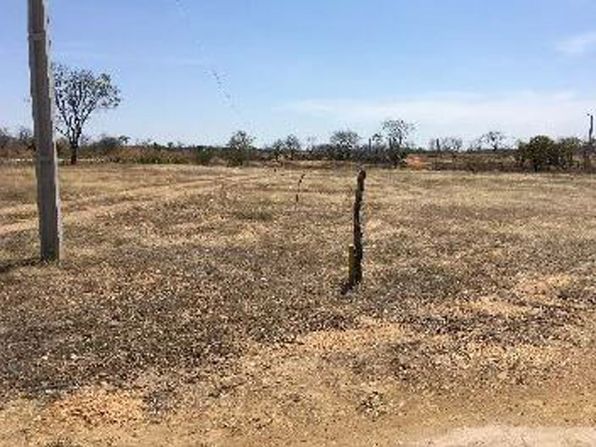 Imagem 6 do Leilão de Área Rural - Sítio Palmeira - Lavras da Mangabeira/CE