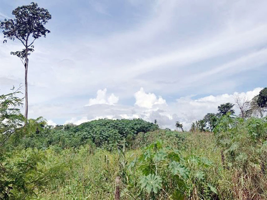 Imagem 1 do Leilão de Terreno - Gleba Buriti dos Carajás - Canaã dos Carajás/PA