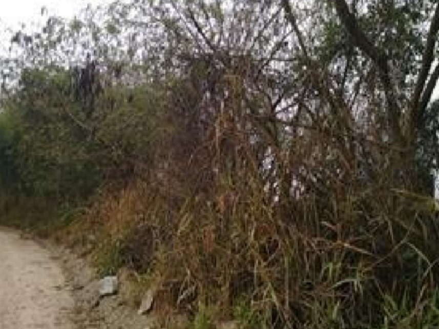 Imagem 3 do Leilão de Terreno - Vila Paraíso - Caçapava/SP