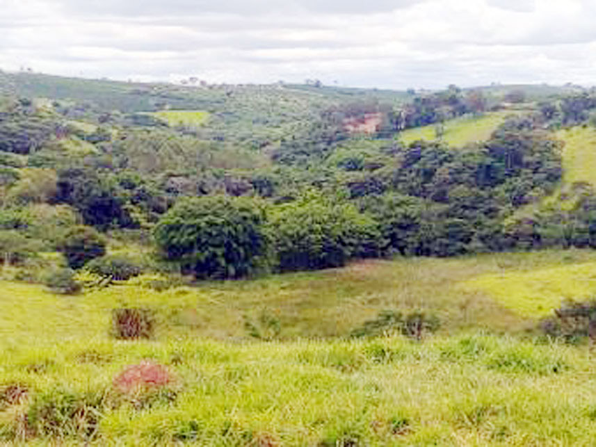 Imagem 6 do Leilão de Área Rural - Córrego Grande Ou Cabeceira do Córrego Grande - Elói Mendes/MG