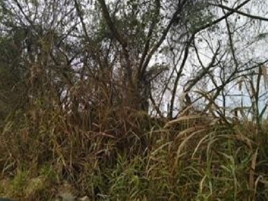 Imagem 6 do Leilão de Terreno - Vila Paraíso - Caçapava/SP