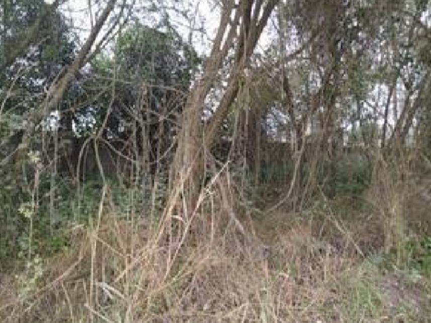 Imagem 4 do Leilão de Terreno - Vila Paraíso - Caçapava/SP