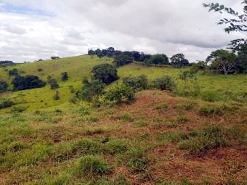 Imagem 5 do Leilão de Área Rural - Córrego Grande Ou Cabeceira do Córrego Grande - Elói Mendes/MG