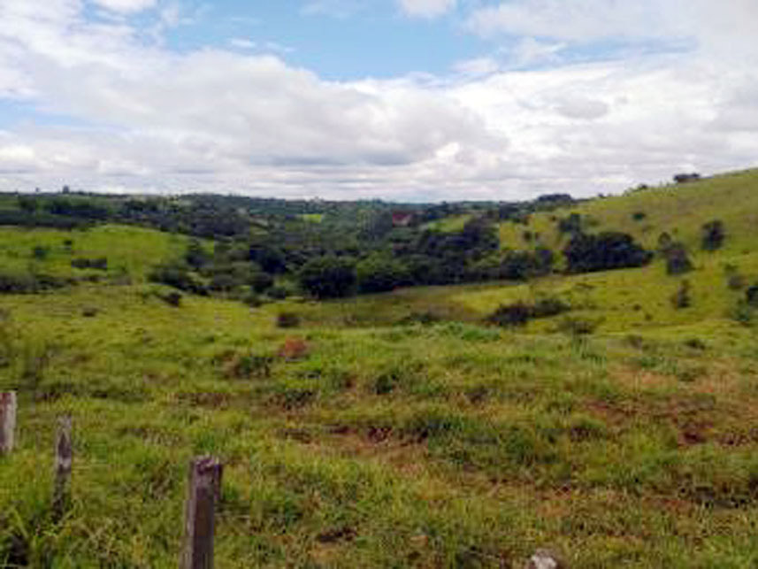Imagem 4 do Leilão de Área Rural - Córrego Grande Ou Cabeceira do Córrego Grande - Elói Mendes/MG