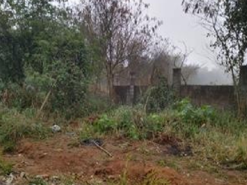 Imagem 7 do Leilão de Terreno - Vila Paraíso - Caçapava/SP
