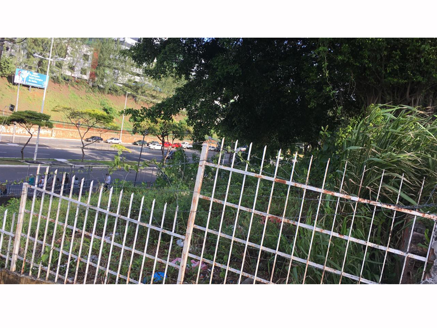 Imagem 7 do Leilão de Terreno - Saúde - Salvador/BA