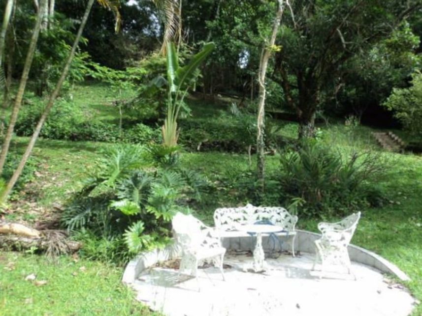 Imagem 9 do Leilão de Casa - Parque Rincão - Cotia/SP