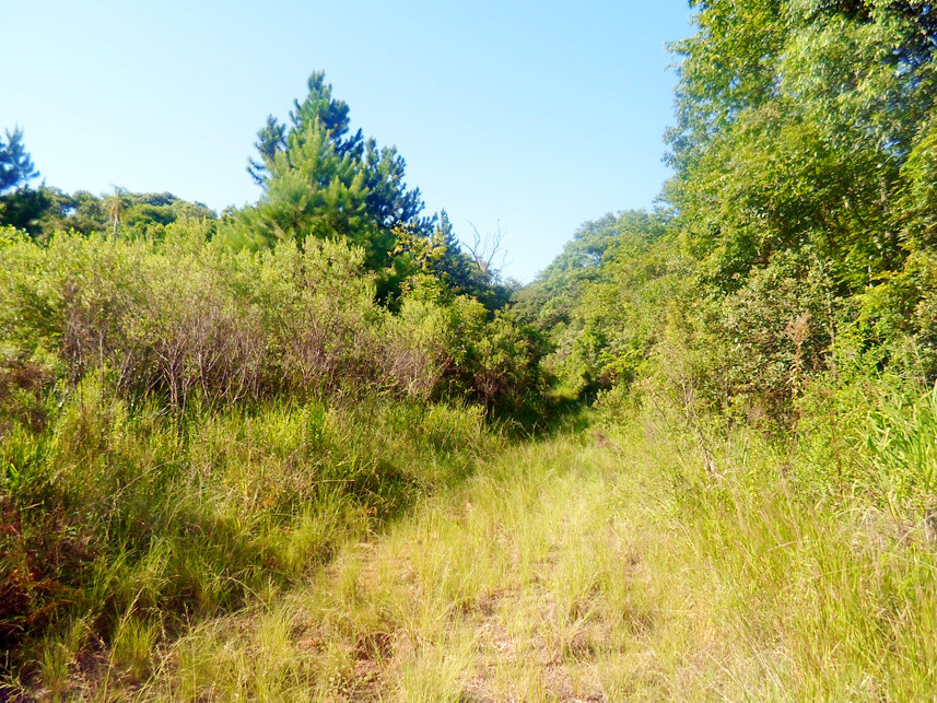 Imagem 10 do Leilão de Terreno - Linha Santa Cruz - Santa Cruz do Sul/RS