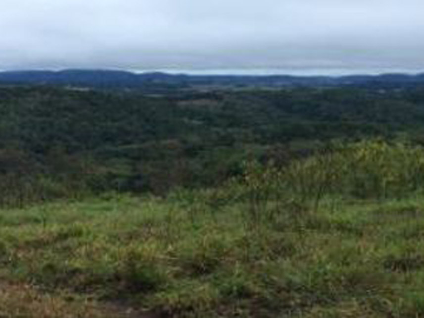 Imagem 2 do Leilão de Área Rural - Bairro dos Franciscos - Guapiara/SP
