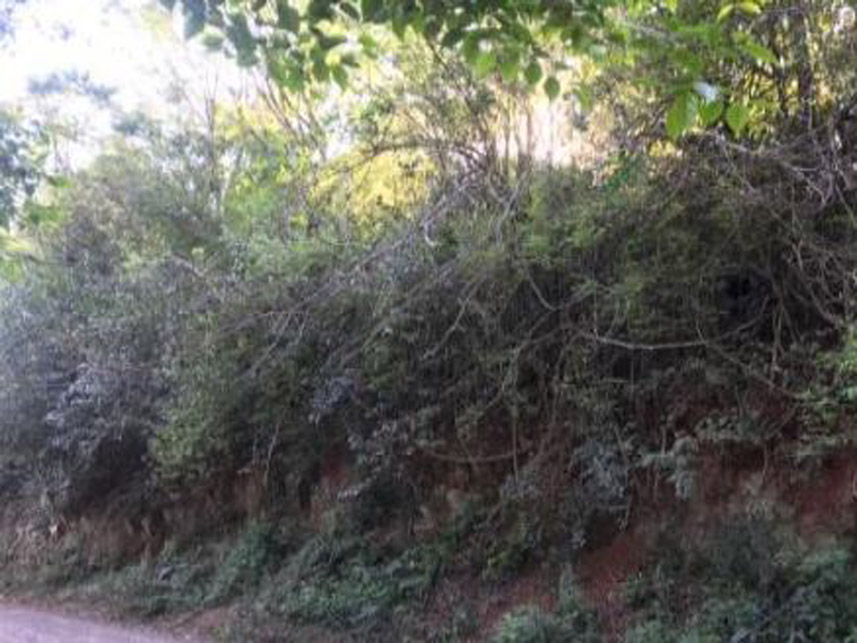 Imagem 3 do Leilão de Terreno - Vila de Carli - Videira/SC
