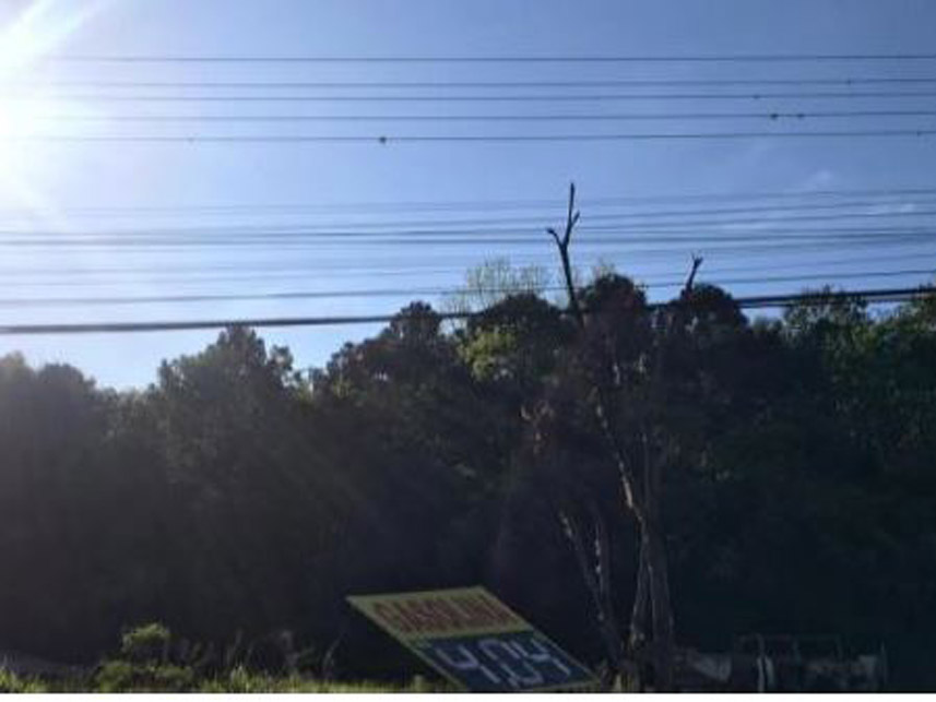 Imagem 1 do Leilão de Terreno - Vila de Carli - Videira/SC