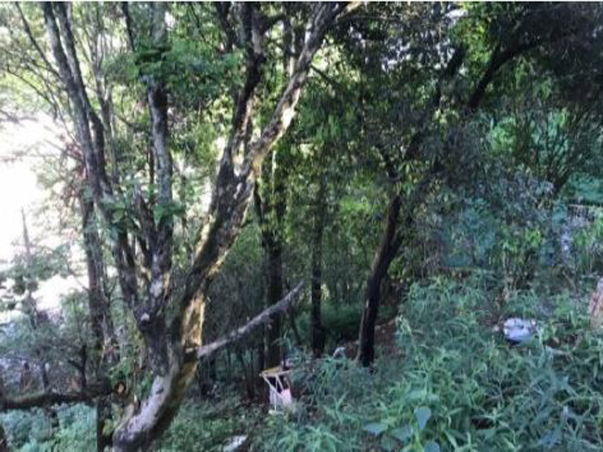 Imagem 2 do Leilão de Terreno - Vila de Carli - Videira/SC