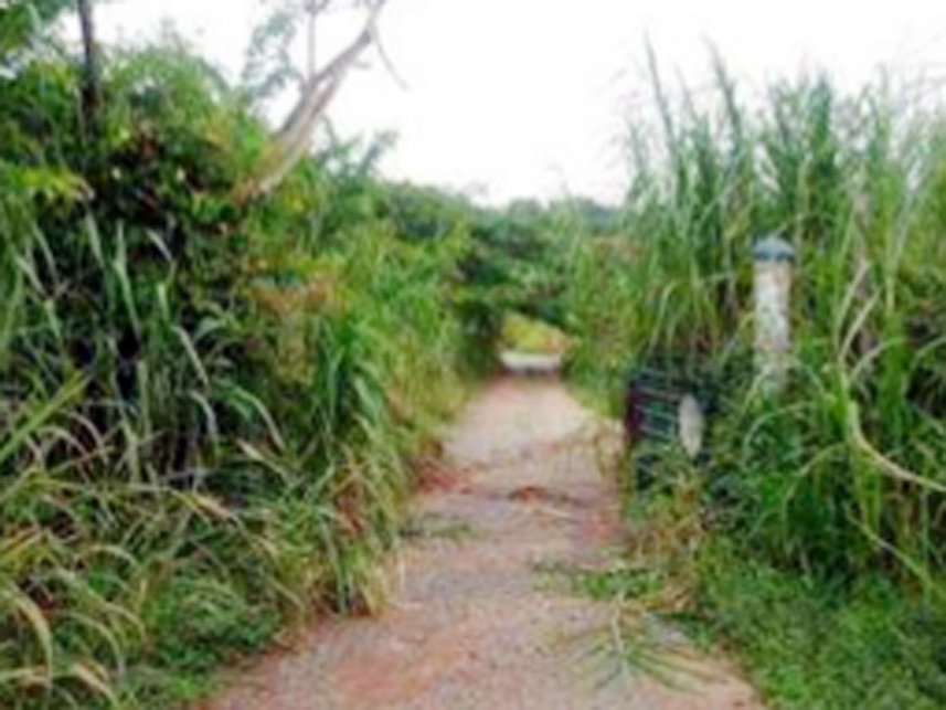 Imagem 3 do Leilão de Área Rural - Grêmio Santa Alice - Mococa/SP