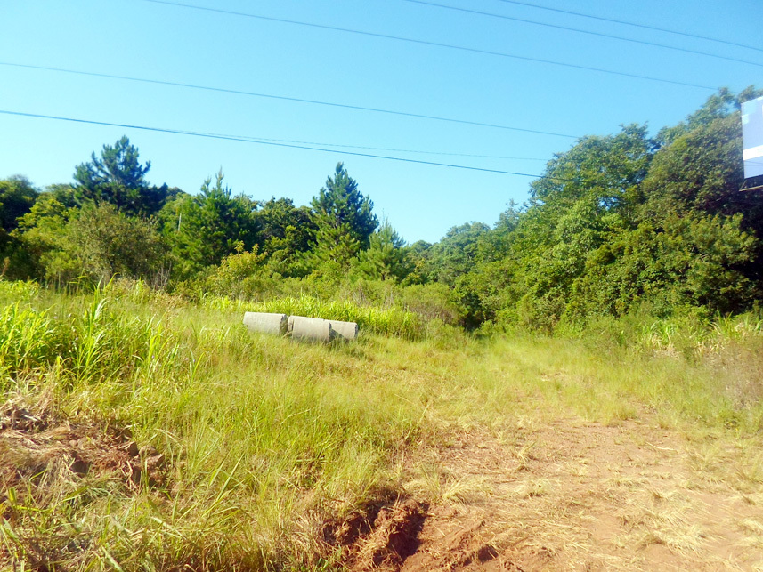 Imagem 4 do Leilão de Terreno - Linha Santa Cruz - Santa Cruz do Sul/RS