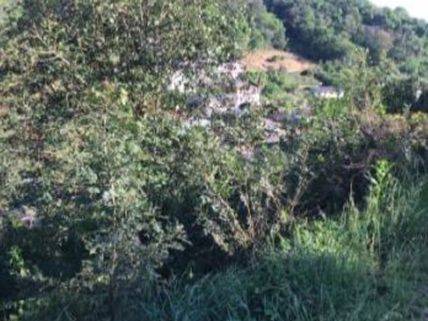 Imagem 4 do Leilão de Terreno - Vila de Carli - Videira/SC