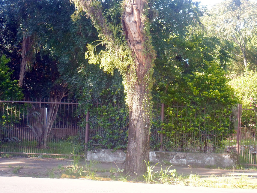 Imagem 3 do Leilão de Terreno - Linha Santa Cruz - Santa Cruz do Sul/RS