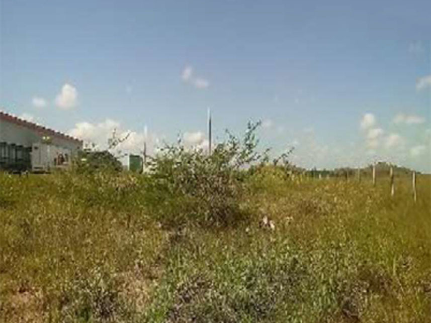 Imagem 2 do Leilão de Terreno - Condomínio Cone Multimodal - Cabo de Santo Agostinho/PE