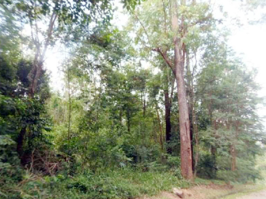 Imagem 6 do Leilão de Terreno - Parque do Vale de Santa Fé - Vinhedo/SP