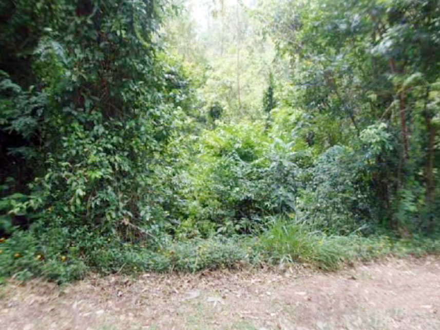 Imagem 4 do Leilão de Terreno - Parque do Vale de Santa Fé - Vinhedo/SP