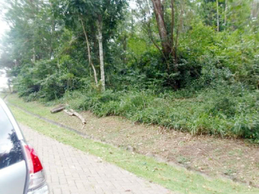 Imagem 5 do Leilão de Terreno - Parque do Vale de Santa Fé - Vinhedo/SP