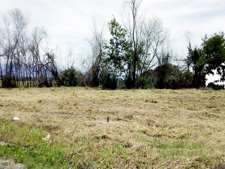 Imagem 2 do Leilão de Terreno - Moreira César - Pindamonhangaba/SP