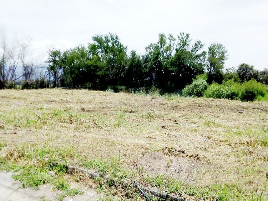 Imagem 3 do Leilão de Terreno - Moreira César - Pindamonhangaba/SP