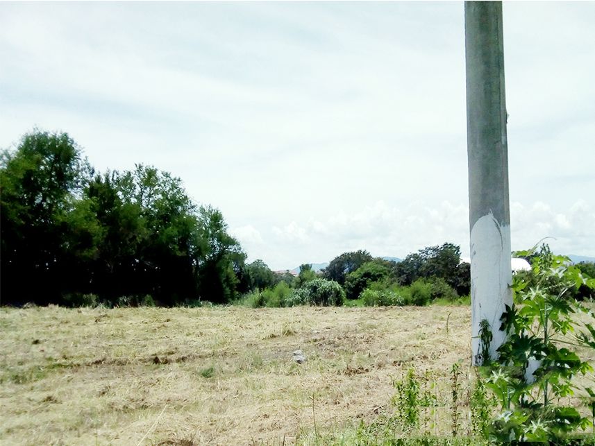 Imagem 9 do Leilão de Terreno - Moreira César - Pindamonhangaba/SP