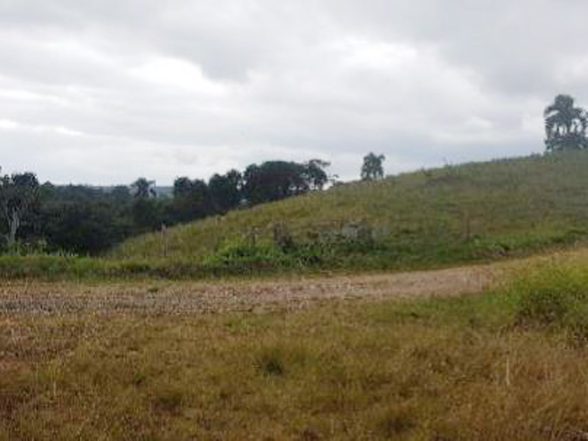 Imagem 8 do Leilão de Área Rural - Caraguatá - Quatro Barras/PR