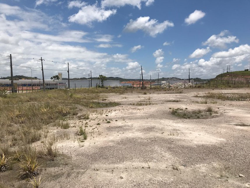 Imagem 8 do Leilão de Gleba de Terras - Ponte dos Carvalhos - Cabo de Santo Agostinho/PE
