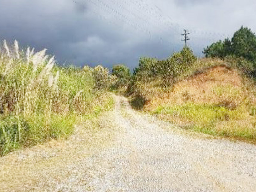 Imagem 5 do Leilão de Área Rural - Caraguatá - Quatro Barras/PR