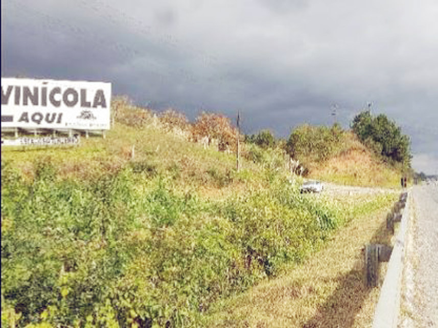 Imagem 3 do Leilão de Área Rural - Caraguatá - Quatro Barras/PR