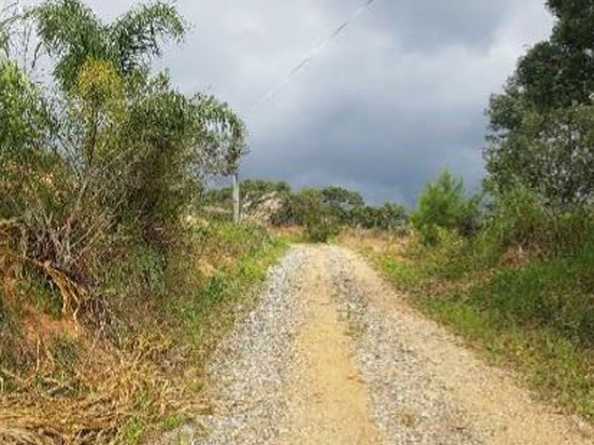 Imagem 6 do Leilão de Área Rural - Caraguatá - Quatro Barras/PR