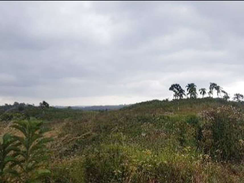 Imagem 11 do Leilão de Área Rural - Caraguatá - Quatro Barras/PR
