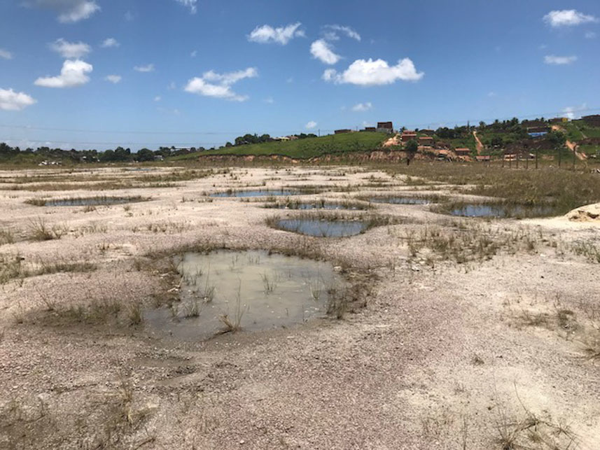 Imagem 7 do Leilão de Gleba de Terras - Ponte dos Carvalhos - Cabo de Santo Agostinho/PE
