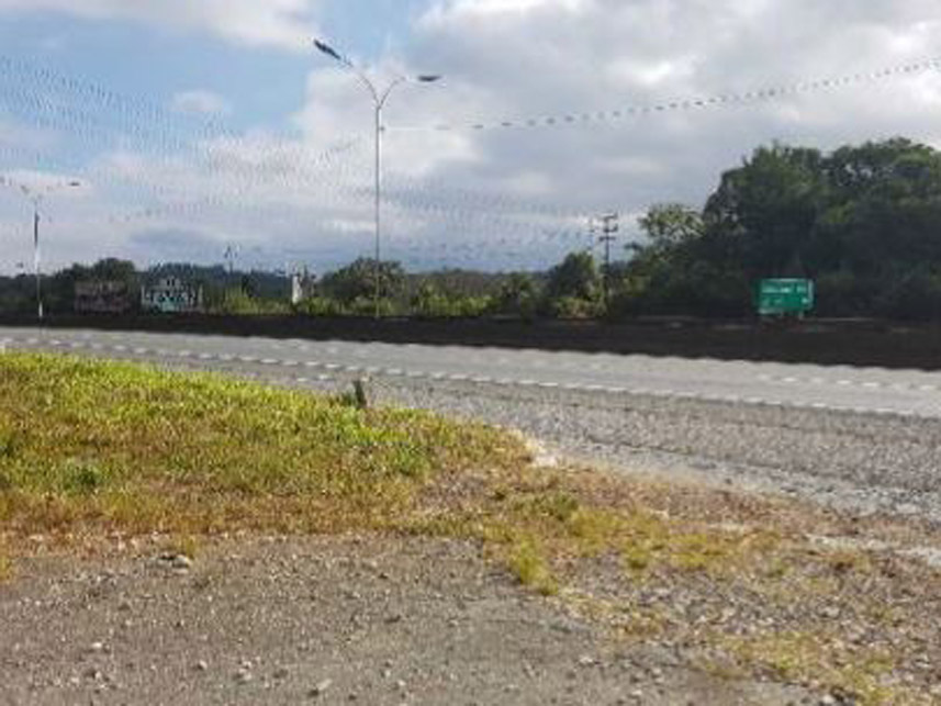 Imagem 2 do Leilão de Área Rural - Caraguatá - Quatro Barras/PR
