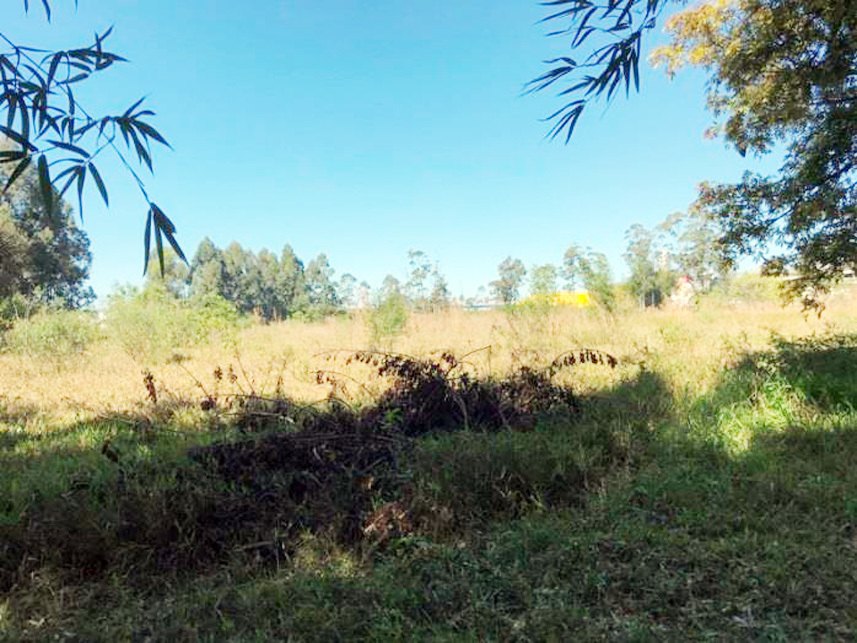 Imagem 4 do Leilão de Terreno - Presidente Vargas - Içara/SC