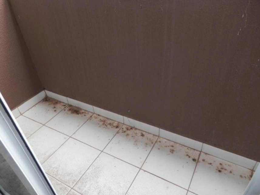 Imagem 8 do Leilão de Sala - Jardim Pompéia - Indaiatuba/SP