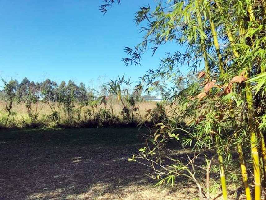 Imagem 2 do Leilão de Terreno - Presidente Vargas - Içara/SC