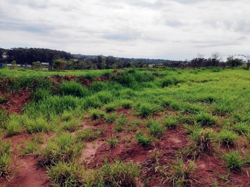 Imagem 1 do Leilão de Terreno - Parque Industrial e Comercial Abrão Nacles - Cianorte/PR