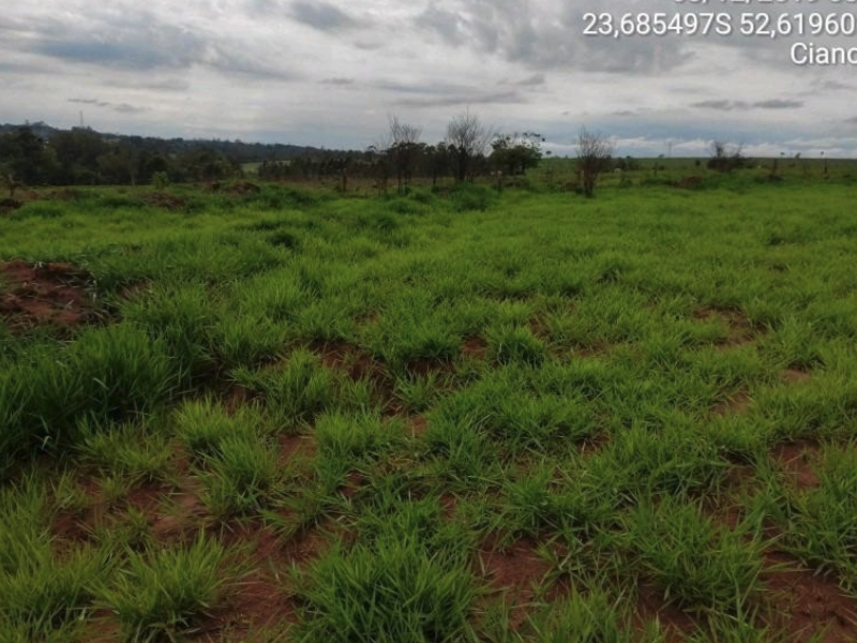 Imagem 4 do Leilão de Terreno - Parque Industrial e Comercial Abrão Nacles - Cianorte/PR