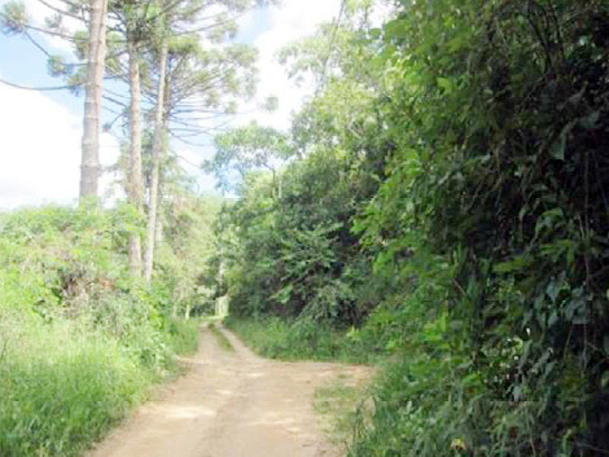 Imagem 2 do Leilão de Casa - Fazenda Bela Vista - Nova Friburgo/RJ