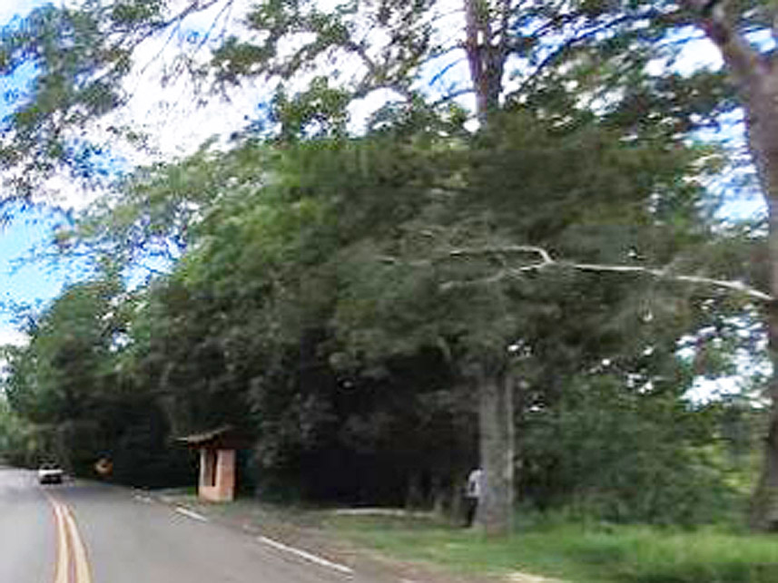 Imagem 2 do Leilão de Terreno - Centro - Tibagi/PR