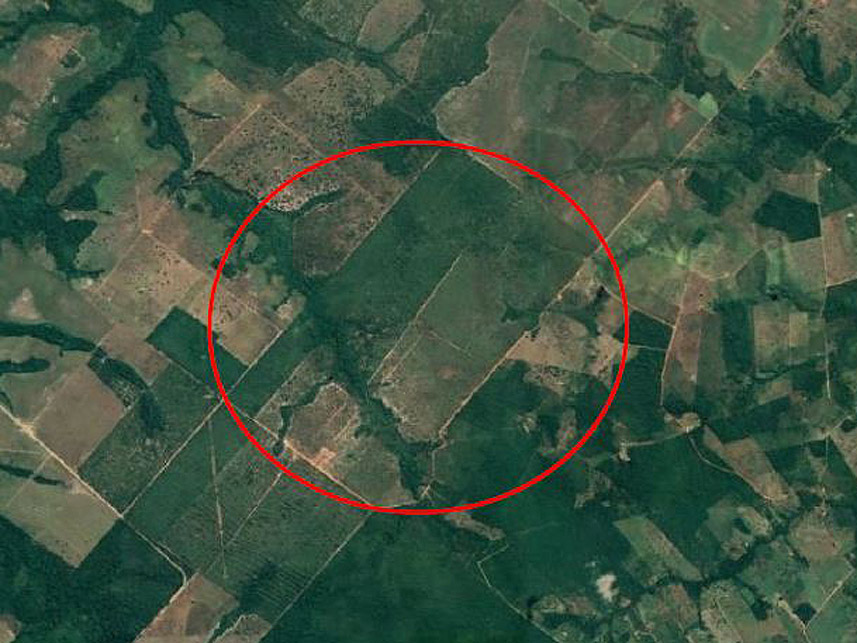 Imagem 9 do Leilão de Área Rural - Zona Rural - Aragominas/TO