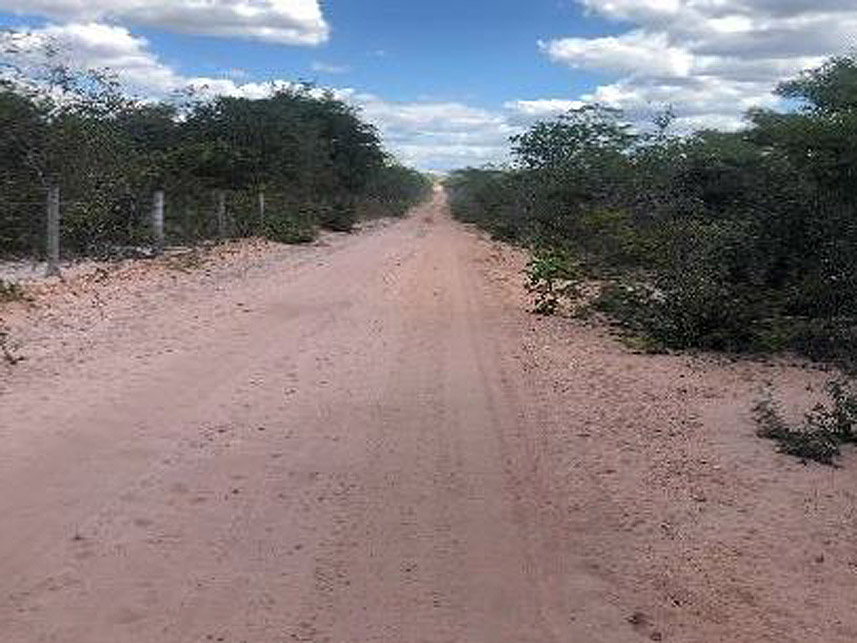 Imagem 1 do Leilão de Área Rural - Zona Rural - Aragominas/TO